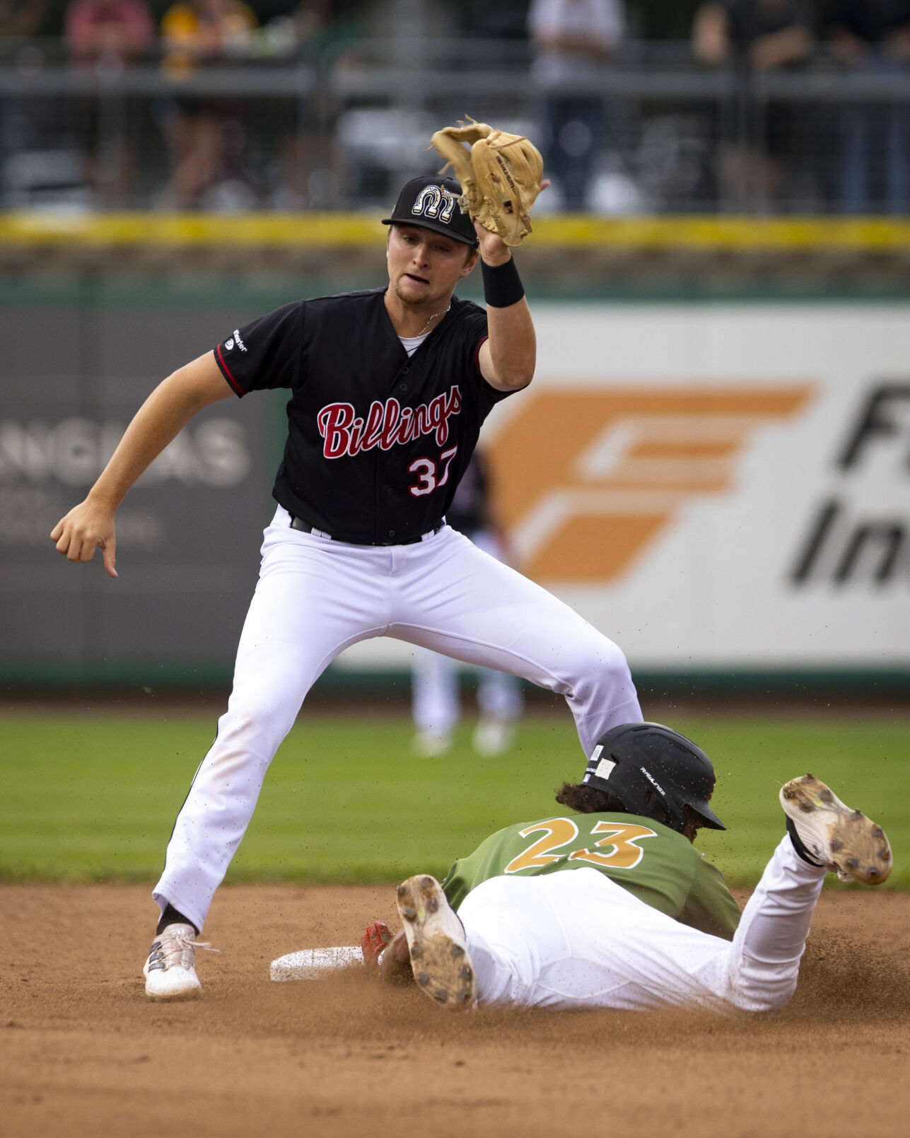 Billings Mustangs vs. Glacier Range Riders